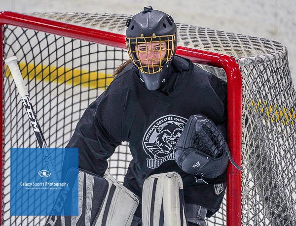 wmschumann's tweet photo. Congrats PW Glenview (A1) &amp; Hoffman Estates Wolverines (A2) on Championship Wins at ‘Battle on the Border’ Tourny! It was exiting weekend of hockey among some of the best youth clubs in northern IL and southern WI  &amp; @waynschumann.gsp captured it all! https://t.co/SDtBDJMbU4