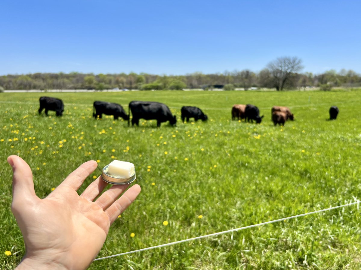 WholeFat's tweet photo. A toast!
To tallow, the fat of the land!
#GoTallow
@SeedOilDsrspctr @FoodLiesOrg @TuckerGoodrich @reallytanman @RealOilRspctr https://t.co/k3pOSTDHbj
