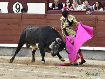 carmelolopezm's tweet photo. “Matón” y “Saltacancelas”.

Dos golpes en la mesa de Los Maños en @LasVentas en quince días. La sangre santacolomeña cotiza al alza. Enorme mérito de José Luis Marcuello. https://t.co/GlDxwYq7qn