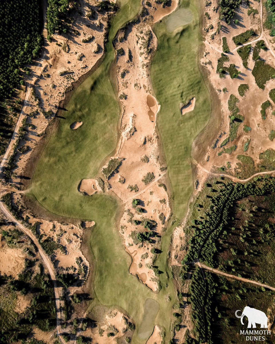 Sand_Valley's tweet photo. Mammoth views from Mammoth Dunes.
.
#MammothMonday #MammothDunes #SandValley #golf #dreamgolf https://t.co/s5kwP6vmGR