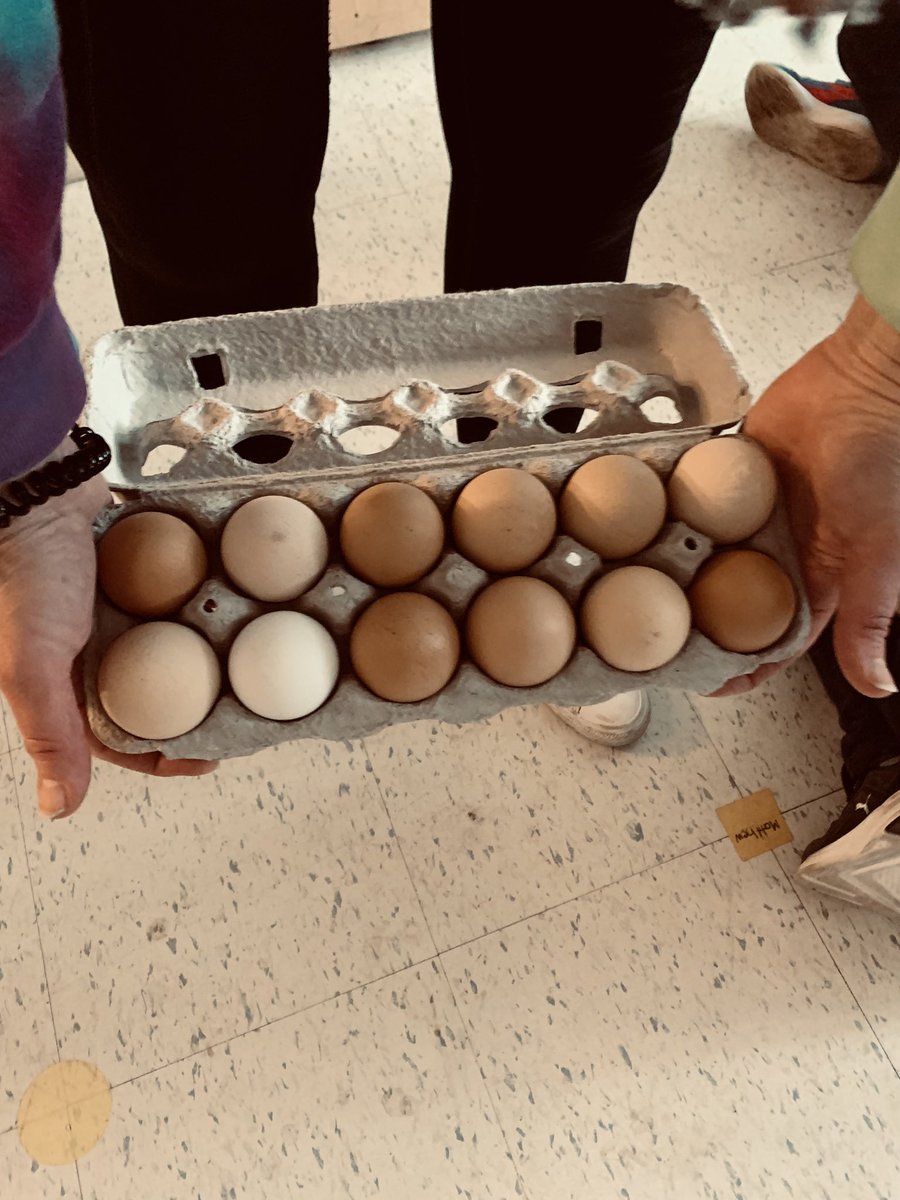 kaitlineedy_'s tweet photo. We have a new inquiry!Our kiddos started talking about skin colour and asked why do people have different skin? We so jumped on this. Check out the activity we did together! We can’t wait to learn more and talk about how we are different in other ways. #onted #tvdsb #Kindergarten https://t.co/i5QjEgKknW