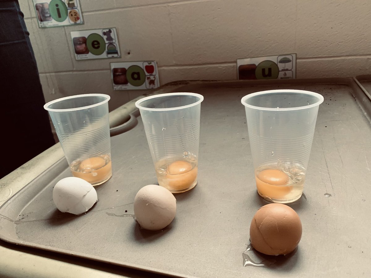 kaitlineedy_'s tweet photo. We have a new inquiry!Our kiddos started talking about skin colour and asked why do people have different skin? We so jumped on this. Check out the activity we did together! We can’t wait to learn more and talk about how we are different in other ways. #onted #tvdsb #Kindergarten https://t.co/i5QjEgKknW