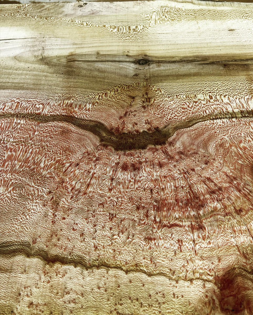 ArborUpcycle's tweet photo. London Plane 🔥 

#wood #woodworker #milling #woodmill #woodmizer #slabs #liveedge #liveedgeslabs #timber #furniture #boutique #sanfrancisco #oakland #bayarea #goldengate #goldengatepark #londonplane #sycamore #arbor #arborupcycle #upcycle #salvage #tree https://t.co/6E1yaadCpz
