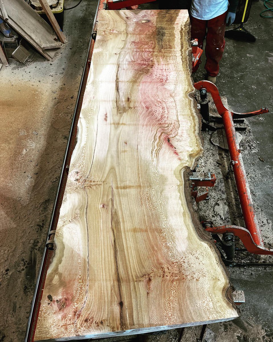 ArborUpcycle's tweet photo. London Plane 🔥 

#wood #woodworker #milling #woodmill #woodmizer #slabs #liveedge #liveedgeslabs #timber #furniture #boutique #sanfrancisco #oakland #bayarea #goldengate #goldengatepark #londonplane #sycamore #arbor #arborupcycle #upcycle #salvage #tree https://t.co/6E1yaadCpz