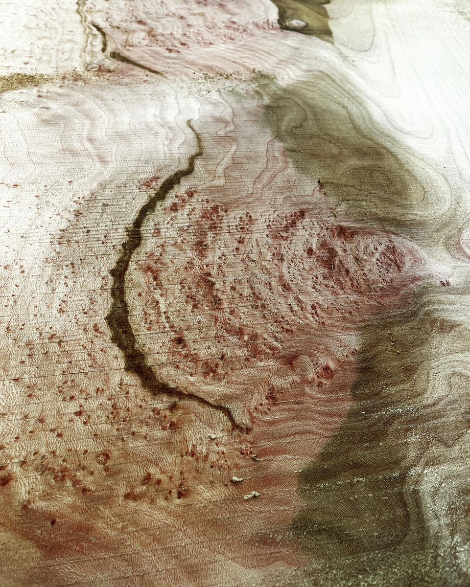 ArborUpcycle's tweet photo. London Plane 🔥 

#wood #woodworker #milling #woodmill #woodmizer #slabs #liveedge #liveedgeslabs #timber #furniture #boutique #sanfrancisco #oakland #bayarea #goldengate #goldengatepark #londonplane #sycamore #arbor #arborupcycle #upcycle #salvage #tree https://t.co/6E1yaadCpz