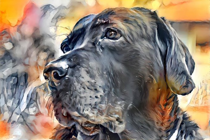 #Laceygirl ❤️ compliments to @toberman https://t.co/xbs70i44nj<a href="/tag/laceygirl"class="tags">#Laceygirl</a><a class="tags" target="_blank" title="On Twitter" href="/?out=eyJ0eXAiOiJKV1QiLCJhbGciOiJIUzUxMiJ9.eyJpYXQiOjE3MjE2Mzg1NDEsImlzcyI6InR3cG9ybnN0YXJzLmNvbSIsIm5iZiI6MTcyMTYzODU0MSwiZXhwIjoxNzUzMTc0NTQxLCJyZWRpcmVjdF91cmwiOiJodHRwczovL3R3aXR0ZXIuY29tL3RvYmVybWFuIn0.G7M5PfdLidWyZvfOOncIyIy4rBqbs6NfD8JRGBQjQqZDOssXzAH5QPZIeAOFNVJULMxld7VYW5KZBvKRqMBYJQ">@toberman</a>