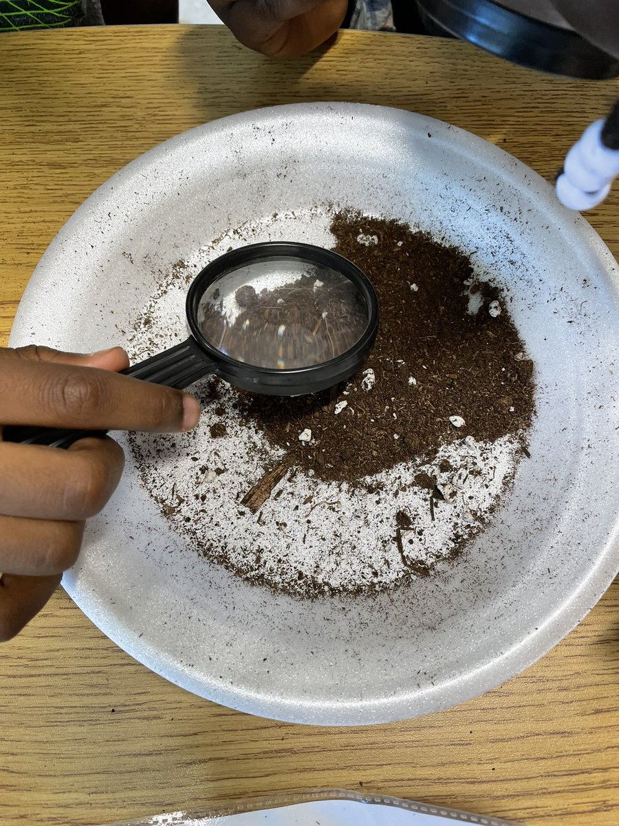 MsGaetan's tweet photo. Today the grade 3’s are experimenting with different types of soil! We have made observations and compared sandy soil, silt soil, and clay soil! #wcdsbNTIP https://t.co/jPDIAA8gDn