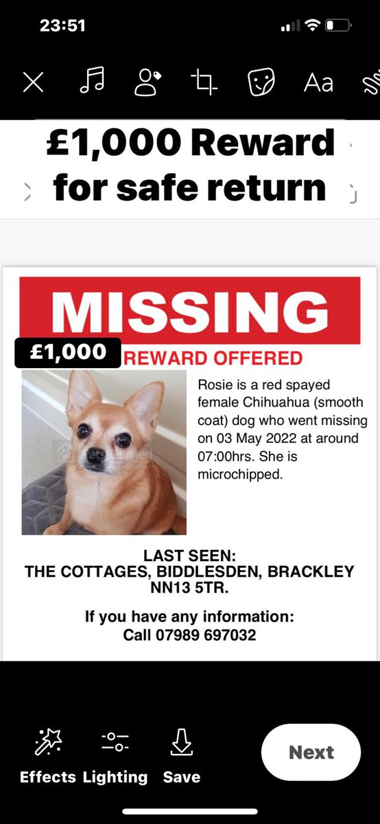 The_Animal_Team's tweet photo. #Missing Rosie #Chihuahua escaped from garden in #Biddleston #Brackley #Northants #NN13 area on Tuesday 3/5/22. Tan/White. https://t.co/KSACxgDnLf #MissingDog #dogsoftwitter #LostDog https://t.co/XZH4WlFKBa