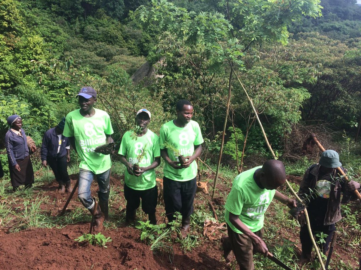 8BillionTrees's tweet photo. Each tree planted, adds life to the forest and provides food and shelter to the animals that live in these deforested areas.

Help us gets us closer to our goal of planting and saving 8 billion trees!

Click the link in our bio to learn more. https://t.co/SdIAeaZbNp