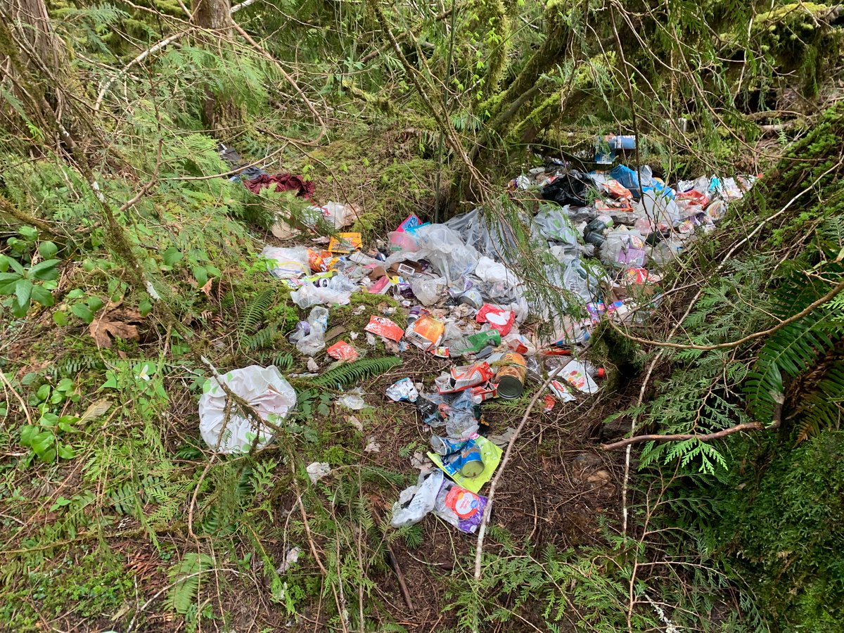 olympicforest's tweet photo. Public lands are not dump sites. If you're seeking to haul/remove waste please find the correct facility to do so. 

Dumping destroys the natural beauty and habitat of lands &amp; discourages people from visiting areas where dumping is occurring. https://t.co/1xtRStaFVc