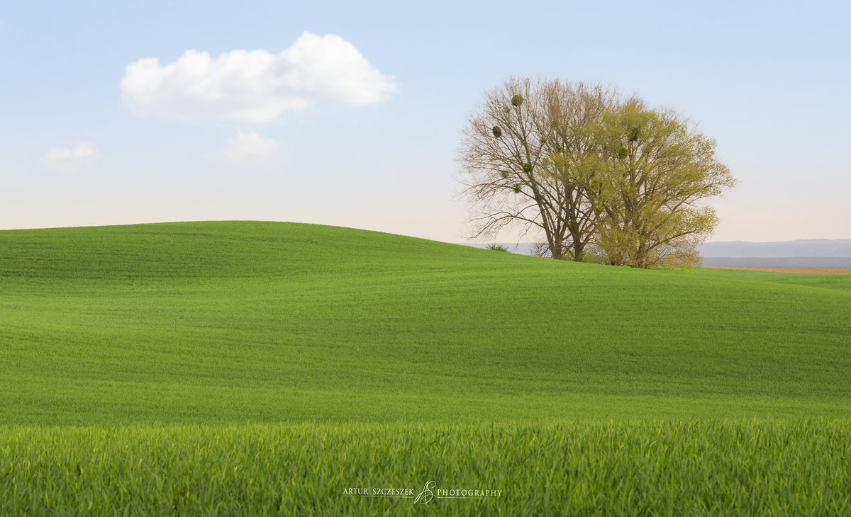 Spring in Poland #WexMondays #fsprintmonday  #sharemondays2022 #Benro #Nikon #agriculture