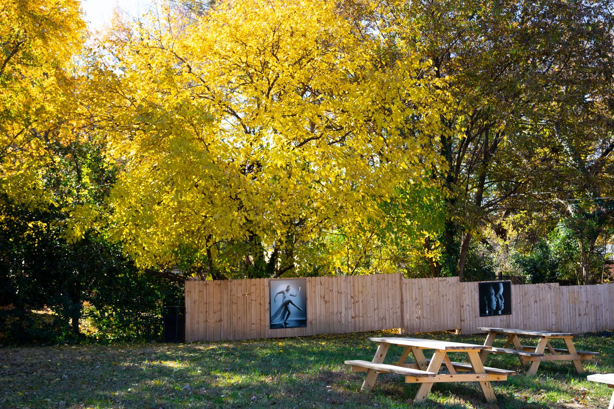 What happens when you envision an art gallery outdoors? You get a cool public space like Taliaferro Park! A collaboration between Historic West End Partners, Lowes, and Charlotte’s Black entrepreneurs, Taliaferro Park features the work of fine art photographer, Jerry Taliaferro.