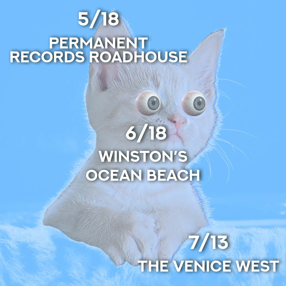 Upcoming shows!! 🙀🙀