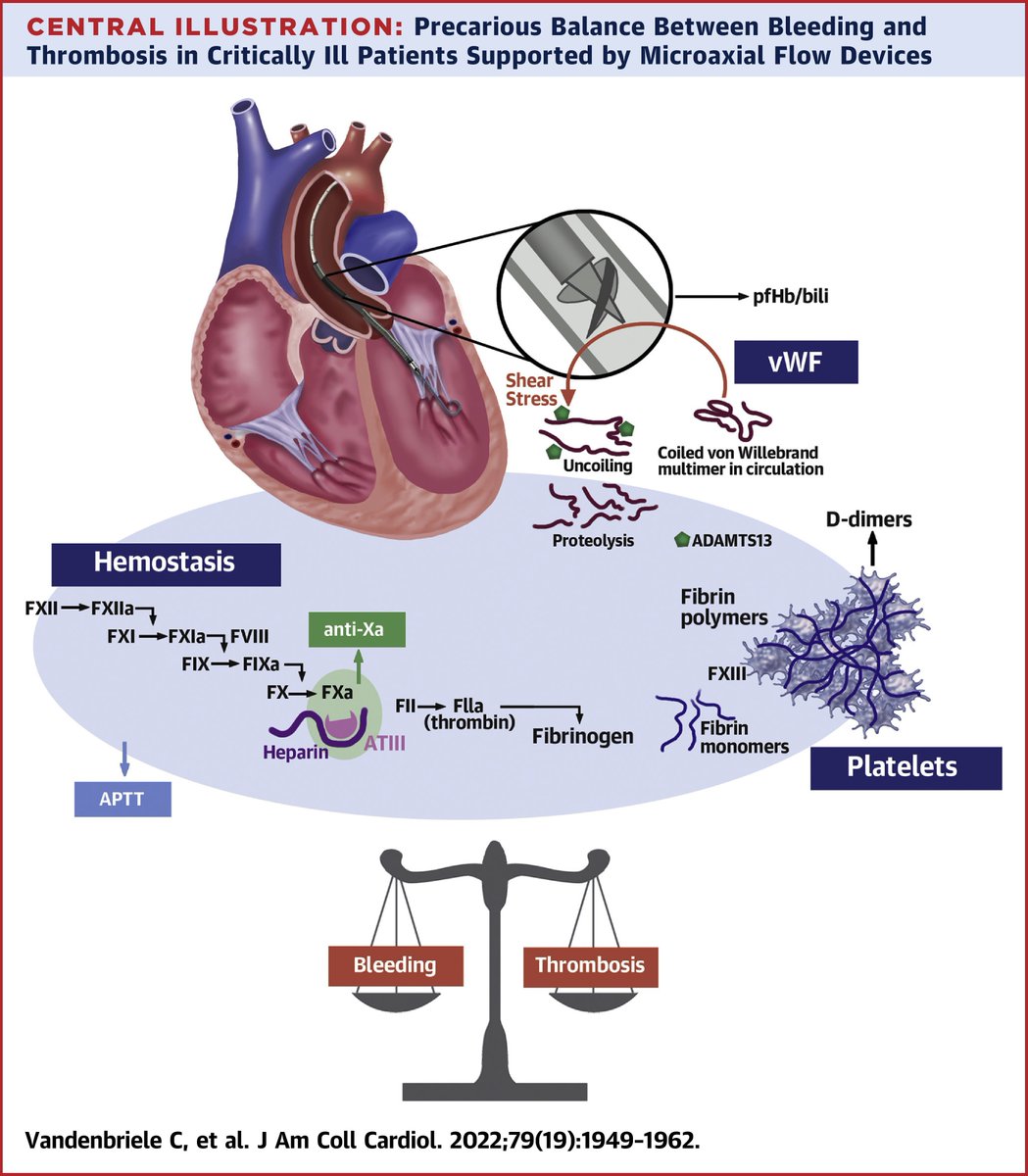 Konstantin Krychtiuk tweet media