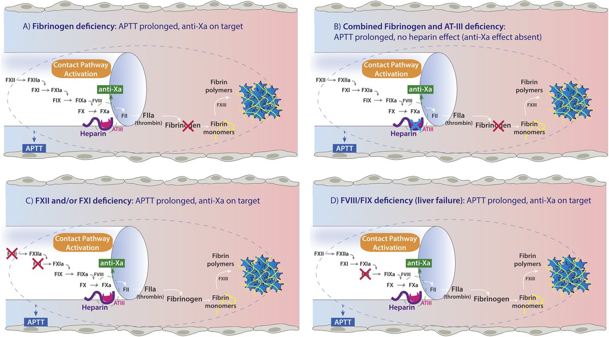 Konstantin Krychtiuk tweet media