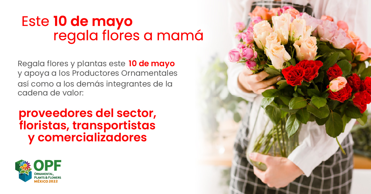 OPFexpo's tweet photo. ¡Regala flores a mamá este 10 de mayo!

Miles de productores ornamentales han trabajado duro para satisfacer la demanda de flor de corte y planta en maceta.

Recuerda que la flor es el alimento del alma que se come con los ojos.

https://t.co/CTStCOQpFA

#regalaflores #10demayo https://t.co/G2krug5jhL
