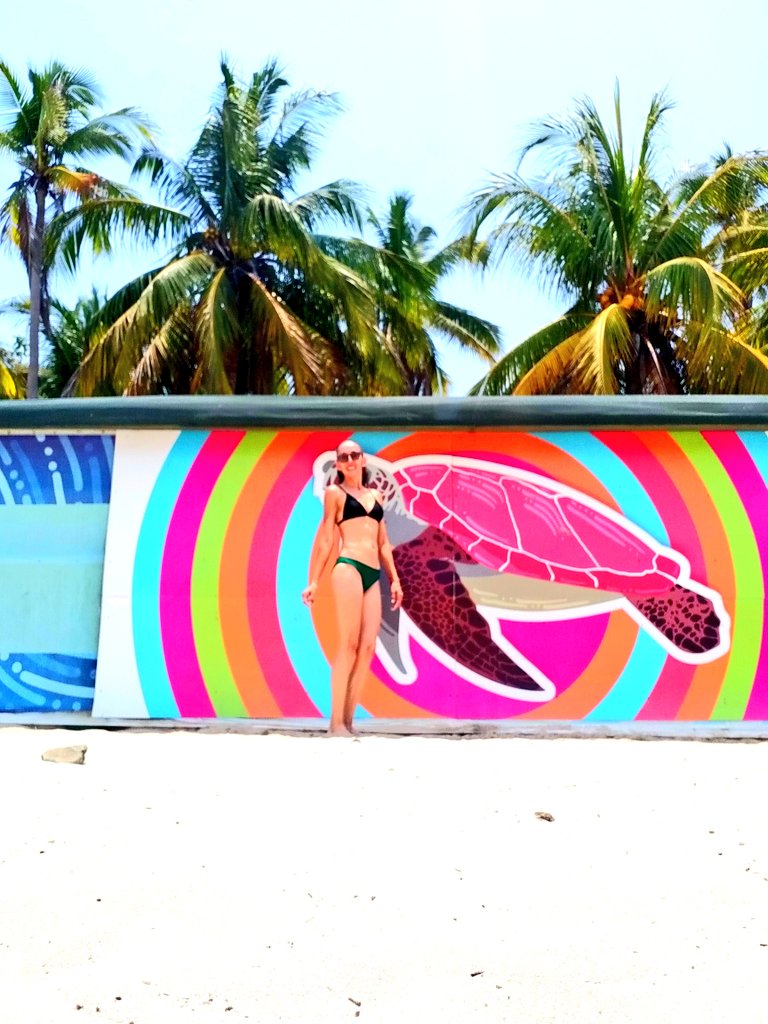 BonitoMyMexico's tweet image. #Lunes sabor #SalDeMar.
#Zihuatanejo es Guerrero.