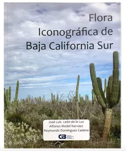 ChoyeroBotanico's tweet photo. ¿Aún no tienes el libro de la flora iconográfica de Baja California Sur?
Si quieres uno, contáctame 😉
Escanea el código y envíame un mensaje 🙂 https://t.co/hoGLhNp9ns