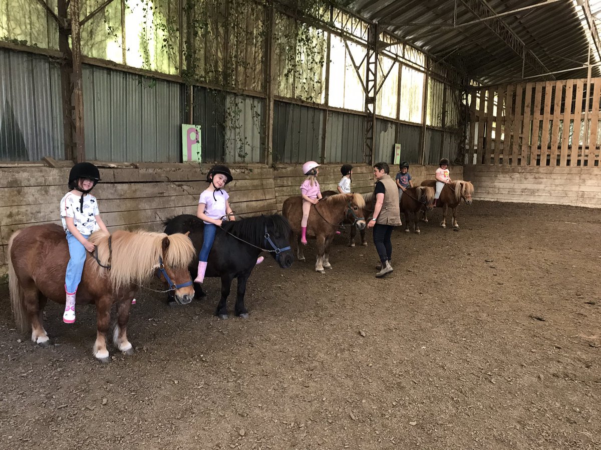 CpJoliot's tweet photo. Classe de découverte 3 jours poney pour tous nos élèves de CP. Des élèves ravis, quel plaisir de les voir si heureux! https://t.co/PbLTrOK2I4