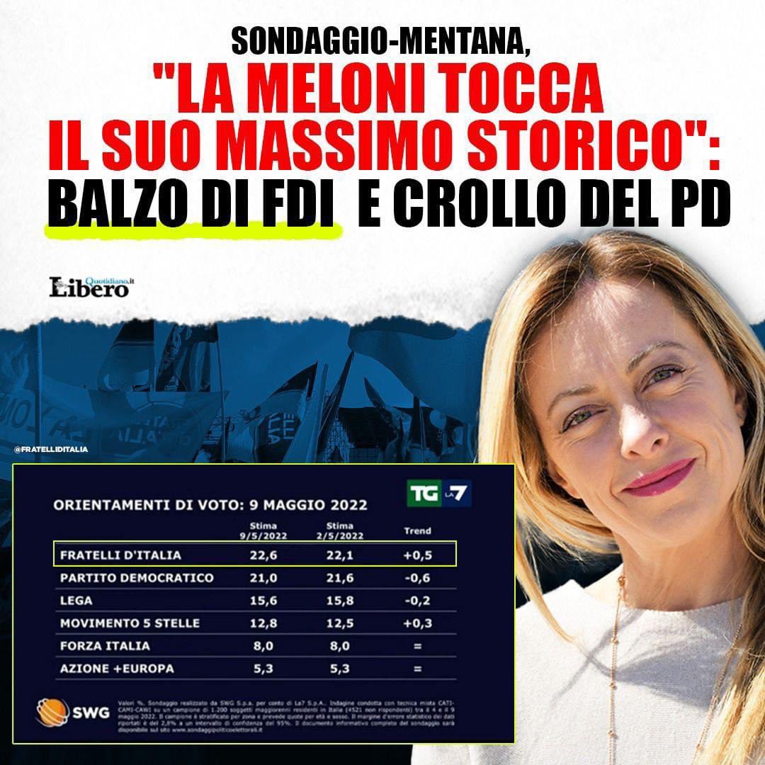 Fratelli d'Italia 🇮🇹 tweet media
