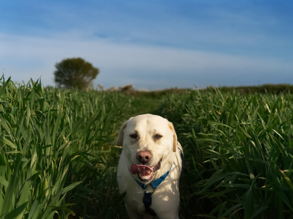 colimac_explores tweet media