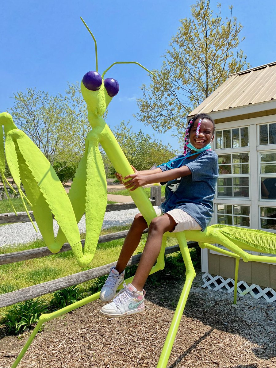 Pictures from the second grade field trip to Powell Gardens where they learned about pollinators and even went on a hunt to see how many they could find! 
#fieldtrip #pollinators #LATCAPride