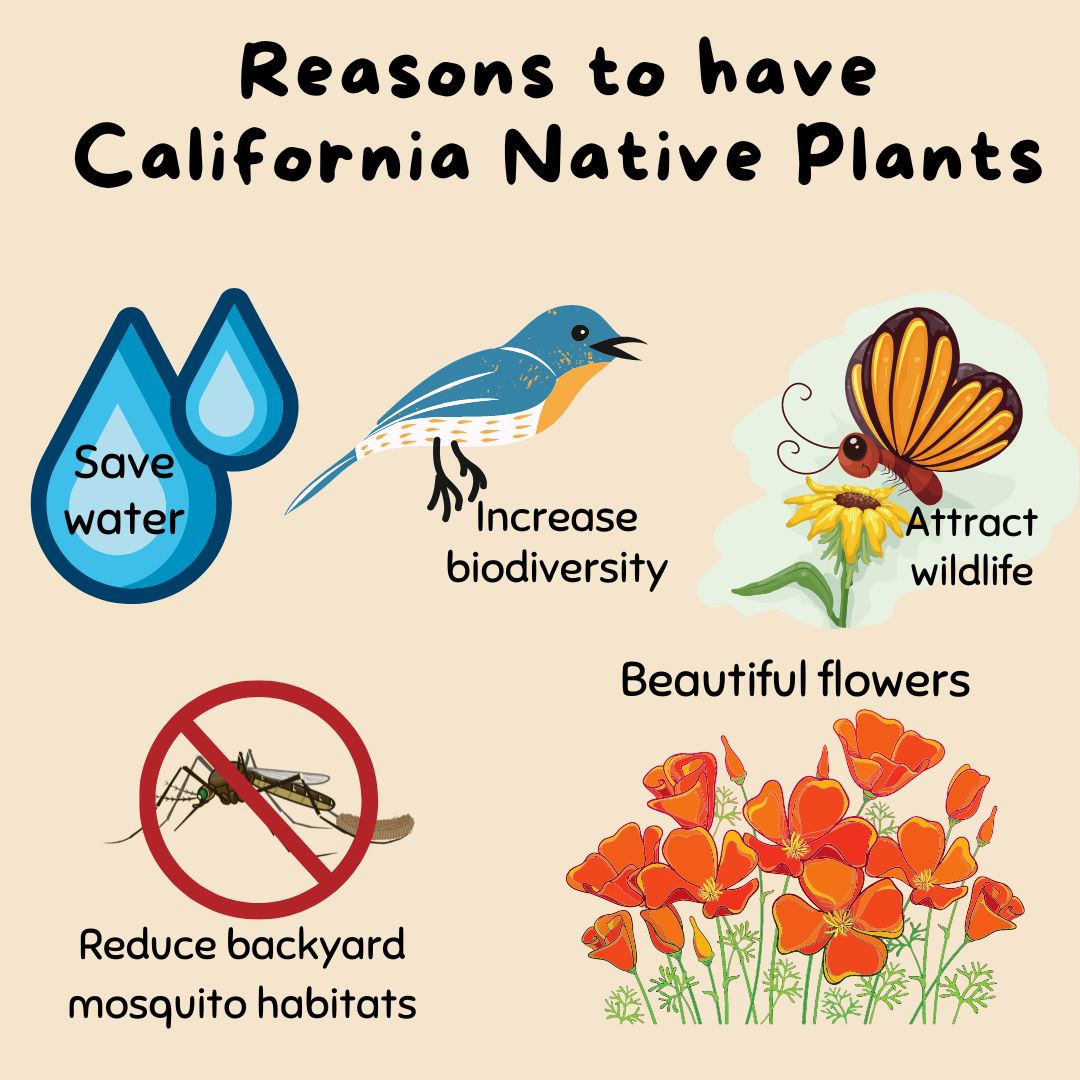 SGVmosquito🦟 on Twitter "Helping the can start in your own yard