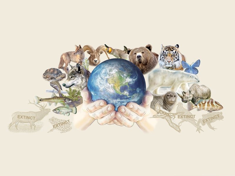 Abnerhdezr's tweet photo. De acuerdo con la Unión Internacional para la conservación de la Naturaleza (UICN) actualmente hay aproximadamente 5,200 especies en peligro de extinción con cada año uniéndose más a la lista.#animales #extintos #peligro #especies #planeta #tierra #convivir @UICN_SUR #FelizLunes https://t.co/KUZe2KQxmP