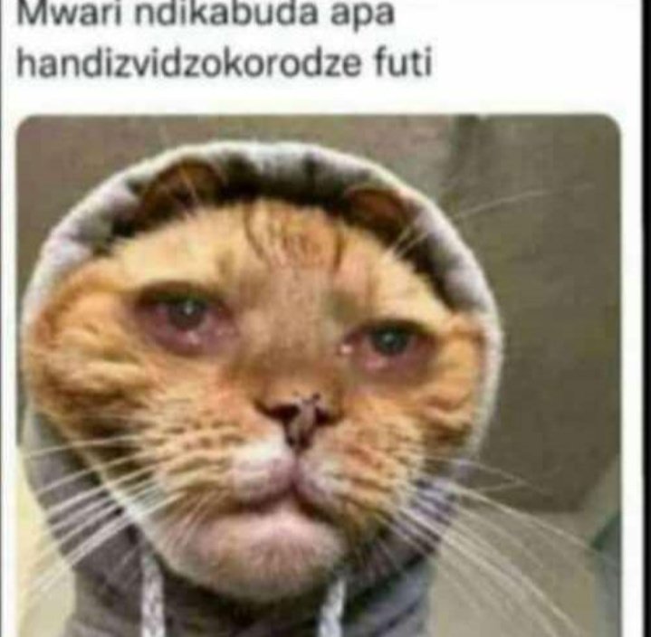 Brady_kay2's tweet photo. Ini pfee zvangu pa Total⛽🚘 zvikanzi todii ndikati dirai rizare apa was joking zvino vabata mota 😭😭😭😭 https://t.co/FedH9bpMk4