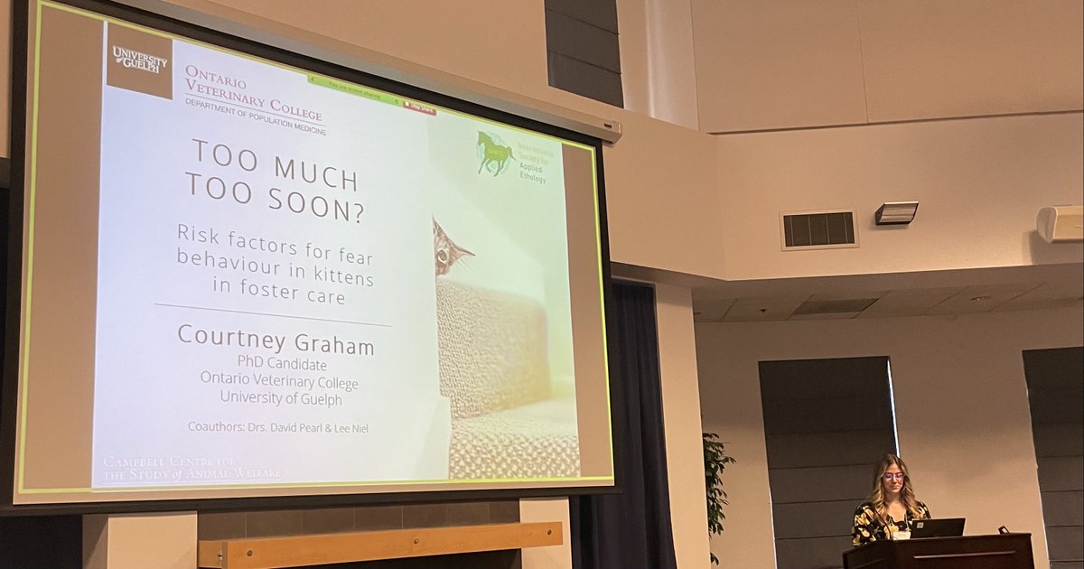 courtneyandcats's tweet photo. I recently presented my latest #kittenresearch at @ucdavis for the North American regional meeting of @appliedethology. It was wonderful to present in-person, see all the wonderful work being done, and reconnect with colleagues!
@CCSAW_UofG https://t.co/6jgG2j5hzN