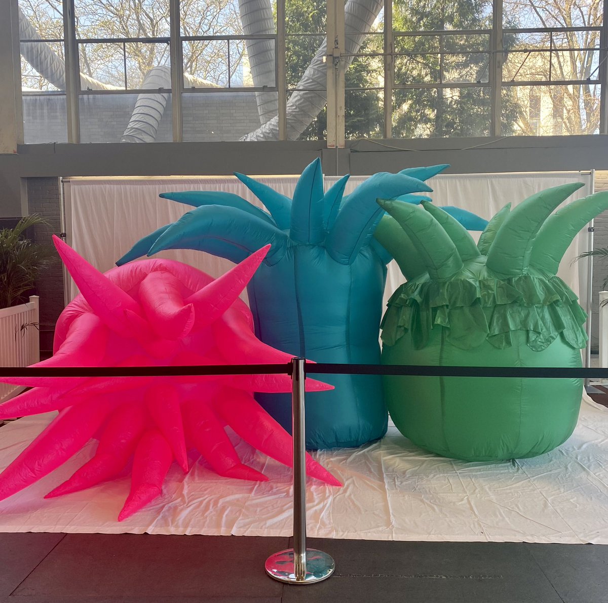 NU Student Life tweet media