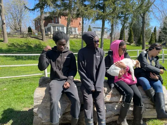 frontlinesto's tweet photo. Over the weekend youth from our Leaders In Training Program got the opportunity to travel to a farm. At the farm our youth did team building activities and learned the importance of communication and supporting your team.
#torontoyouth #torontofun #torontoprogram #leadership https://t.co/65REVYSK0C