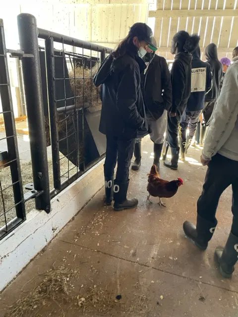 frontlinesto's tweet photo. Over the weekend youth from our Leaders In Training Program got the opportunity to travel to a farm. At the farm our youth did team building activities and learned the importance of communication and supporting your team.
#torontoyouth #torontofun #torontoprogram #leadership https://t.co/65REVYSK0C