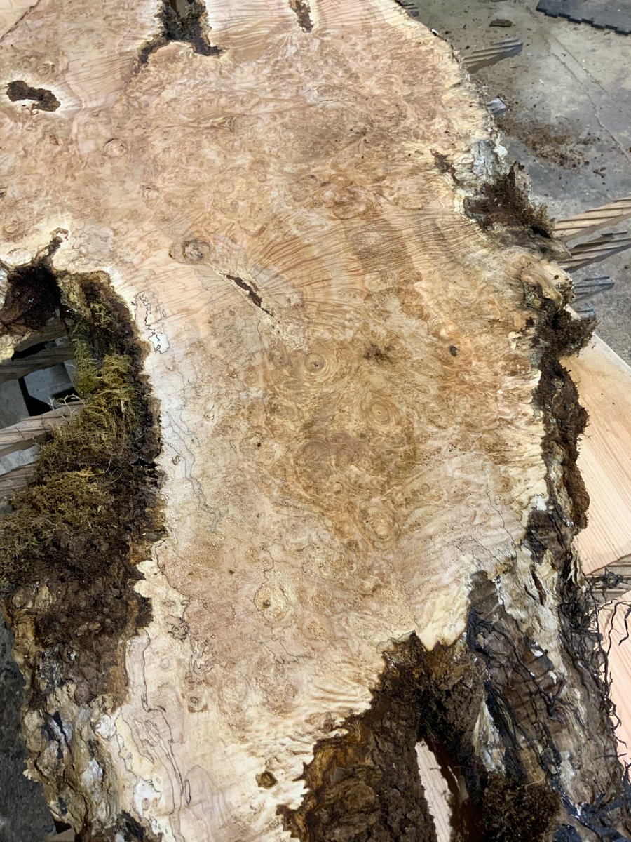 HearneHardwoods's tweet photo. Shop available Big Leaf Maple: https://t.co/XC7h2NxOtZ
Shop available Tasmanian Blackwood: https://t.co/Ifjn4flIQF
#liveedge #liveeedgeslab #liveedgetabletop #onepiecetabletop #bartop #figuredwood #mapleburl #woodworking #wood https://t.co/bbaW9I5h61