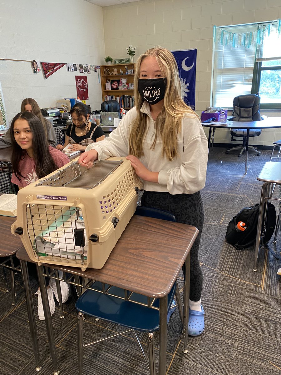 For our spirit week, kids brought anything but a back pack to carry their school stuff. Check out some of their most creative ideas! #RSSExtraordinary #SEMSPatriotPride