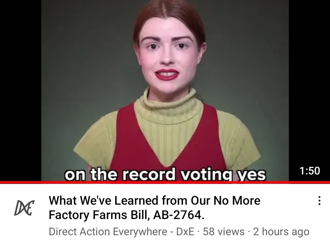 What DxE has learned from the No Mor Factory Farms Campaign, Bill AB-2764

youtu.be/X8ZaKd0MpkE

#DxE #DirectActionEverywhere #plantbasedfoodsystem #stopfundinganimalag #justtransition