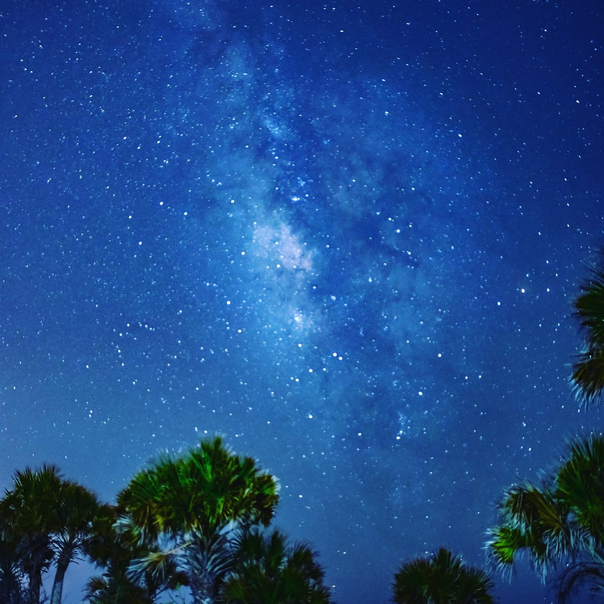 FloridaVacations tweet media