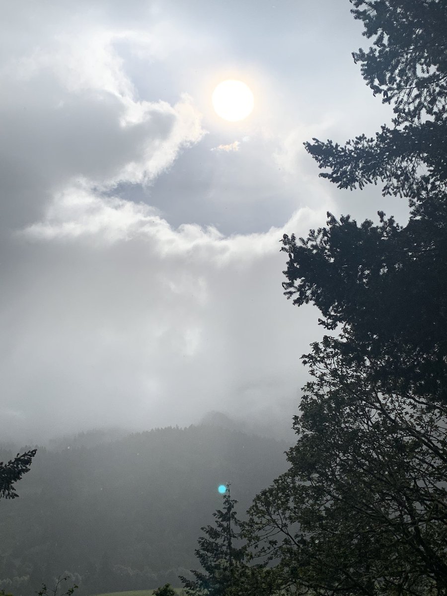 OutdoorsOregon's tweet photo. Springtime In Oregon... wearing a raincoat over a sweatshirt and packing sunglasses in my pocket. 🙄 https://t.co/mXIvjovjOE