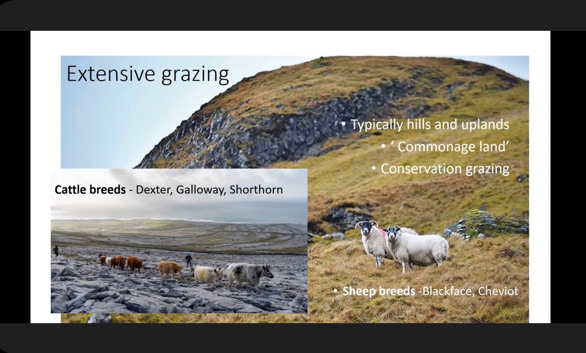 Conor Holohan (@conor_holohan) on Twitter photo Sharing some insights on grassland systems in Ireland with members of the <a href="/Grassland2_0/">Grassland 2.0</a> project recently. This $10m project is doing major work to improve farm sustainability in the Midwest. All through the promotion of grass-based agriculture 🌱
<a href="/Fulbright_Eire/">Fulbright Ireland</a> Sharing some insights on grassland systems in Ireland with members of the <a href="/Grassland2_0/">Grassland 2.0</a> project recently. This $10m project is doing major work to improve farm sustainability in the Midwest. All through the promotion of grass-based agriculture 🌱
<a href="/Fulbright_Eire/">Fulbright Ireland</a>