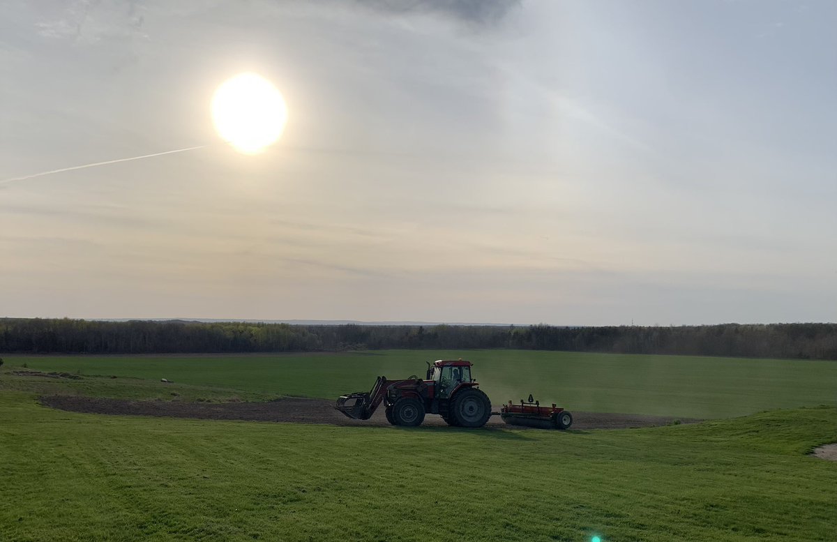 MariekePatton's tweet photo. Beautiful night to have the hay seeded down- thankful for #CustomFarming ☀️ https://t.co/IPYlzUJoCF