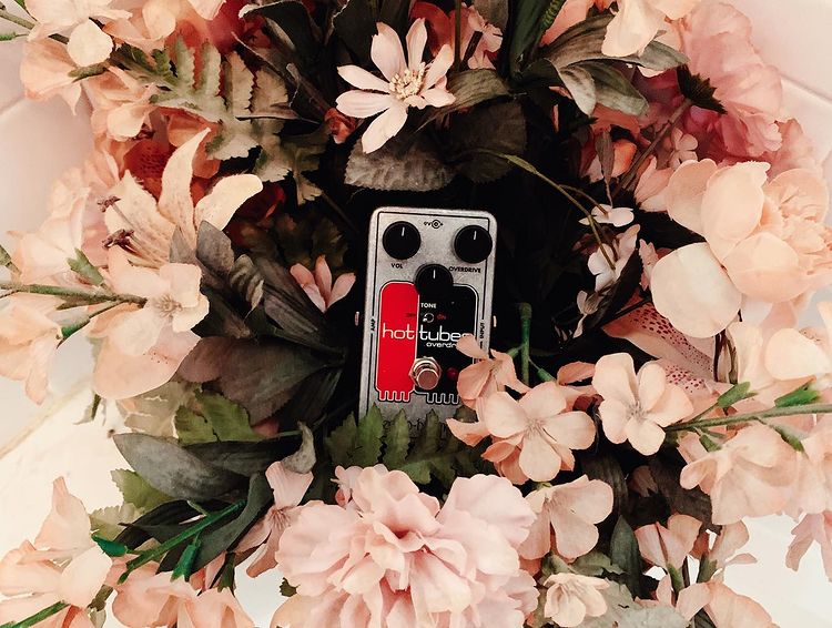 EHX's tweet photo. Tone that's in bloom!
https://t.co/pVTfyJFsIE
📷 wafflesandwounds
#ehx #guitarpedals #guitargear #guitareffects #electroharmonix #hottubes #overdrive https://t.co/zY0I3gKBaD