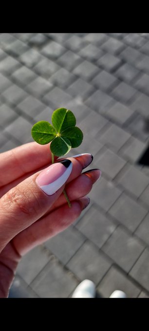 Finded ! 😍😍😍 https://t.co/MfpcvAomiz<a href="/tag/skype"class="tags"><span>#skype</span></a>