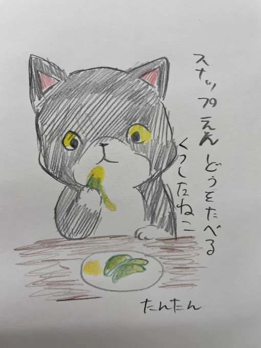 スナップエンドウを食べるくつしたねこ

#イラスト #猫 