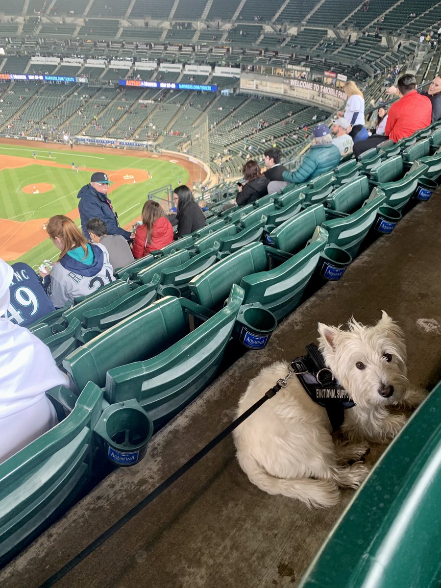 BarzinAkhavan's tweet photo. @Mariners Griffey is back in the building #BarkinPark #SeaUsRise https://t.co/GkOovHZ3Y5