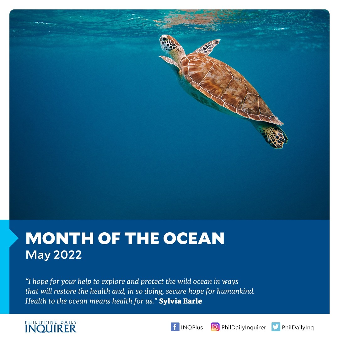 phildailyinq's tweet photo. Through our collective efforts, we can make waves to save our oceans. 

#OceanMonth
#savewaves
#restorehealth https://t.co/BG195PGKDB