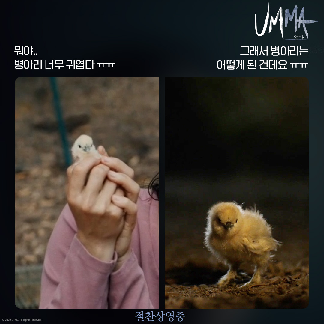 그래서 병아리는 대체 어떻게 된 건데..??ㅠㅠㅠ 궁금한 사람은 지금 바로 CGV로! 🐥 #엄마 #UMMA #영화엄마 #산드라오 #샘레이미 #피벨스튜어트 #절찬상...