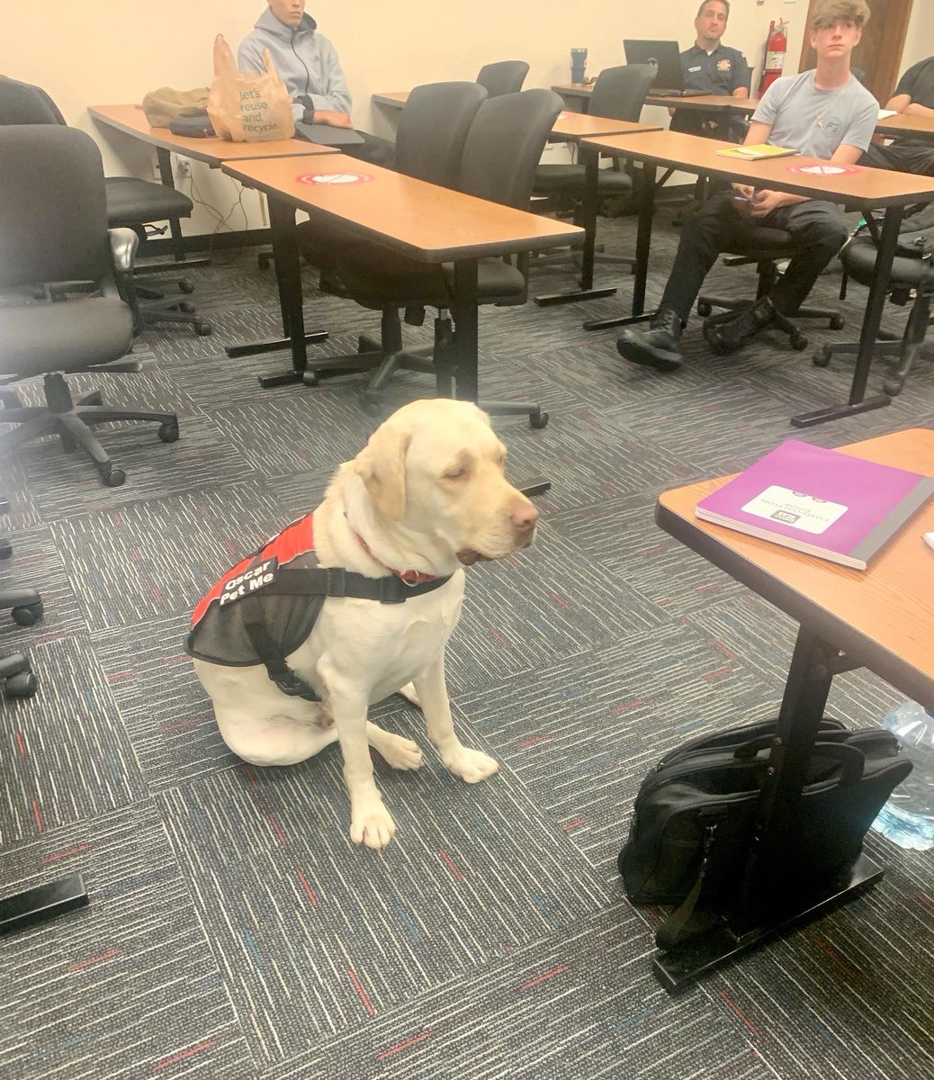 OscarTherapyDog's tweet photo. New semester, new EMT class and Oscar was there to greet the new students. #therapydog #futureemt #emt #student #herodogawards #americanhumane #dogs #dogsoftwitter https://t.co/aCx2K9RGrE