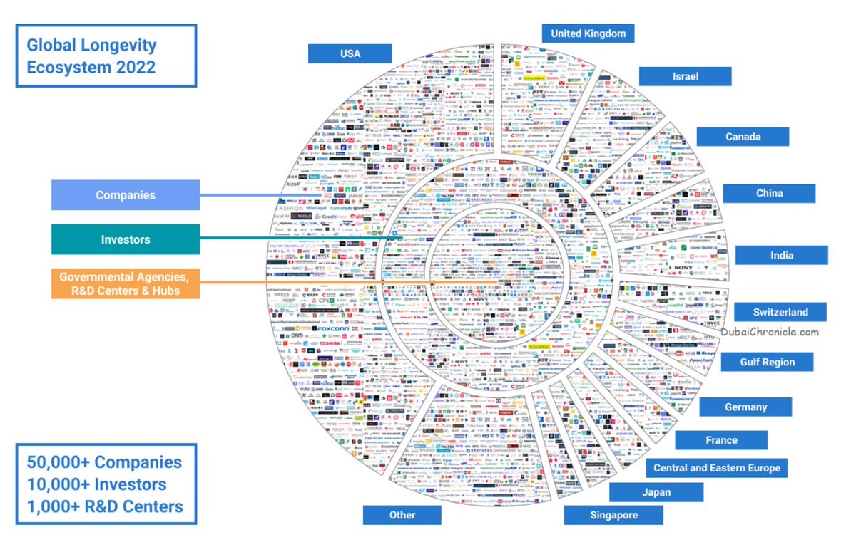 Jeunessima's tweet image. “The #longevity industry is estimated to be worth $26.5 TRILLION in 2022 and expected to reach $33 TRILLION in 2026”

What a change to just a few years ago! Amazing!

#aging #agingreversal