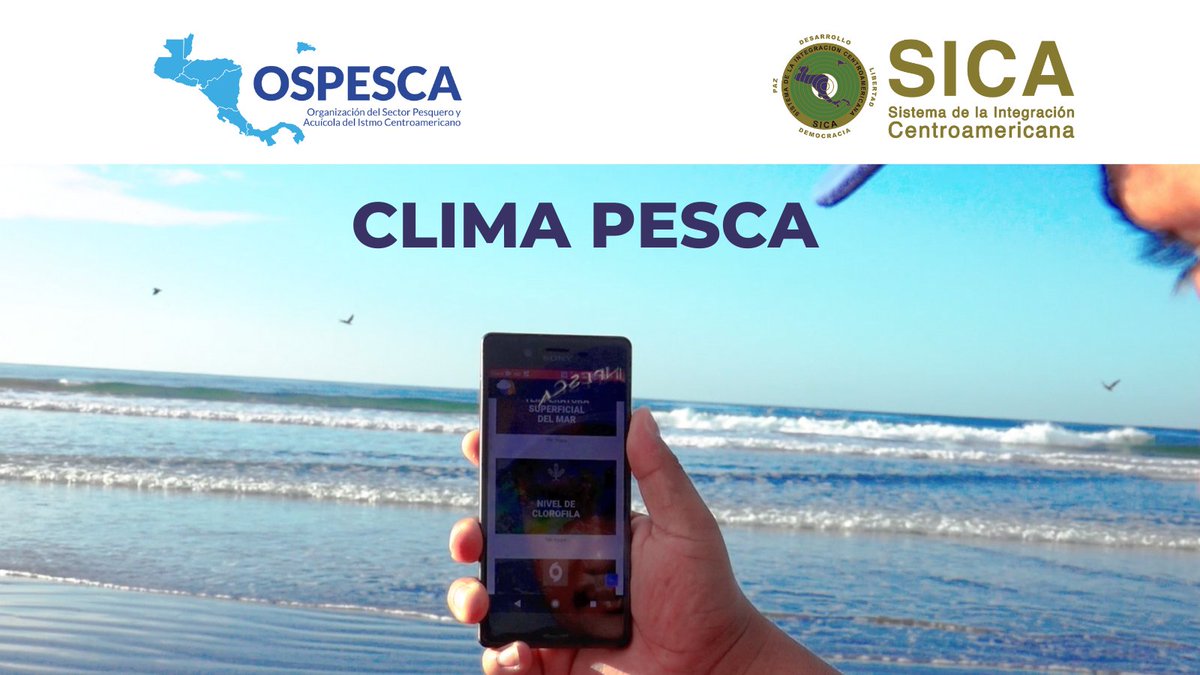 SICAOSPESCA's tweet photo. 📲Disponible edición No. 18 de nuestro boletín semanal🌤️🐟🦐
Lee la edición completa ingresando a este enlace👉https://t.co/EK7TjCm43f https://t.co/5F2mt3tAaE