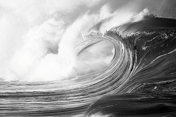 WITHOUT PREJUDICE tweet media